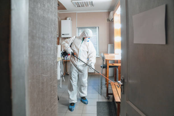 Professional Mold Removal in Wellman, IA